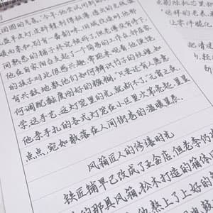 简心柔楷体行楷硬笔手写行楷书法练字硬笔书法字帖